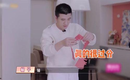 扬子-这人的背景